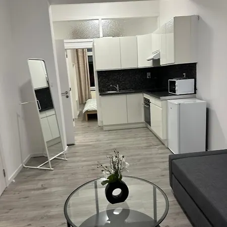 Apartmán 1 Et Sofa Bed En Plein Coeur De Lutych
