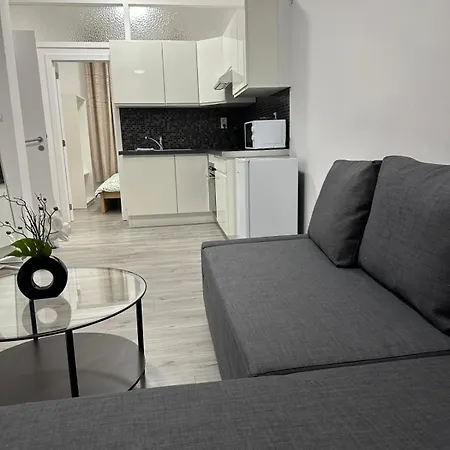 Apartmán 1 Et Sofa Bed En Plein Coeur De Lutych
