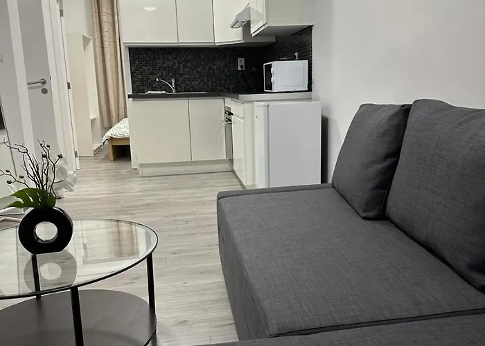 Lägenhet 1 Et Sofa Bed En Plein Coeur De Liège