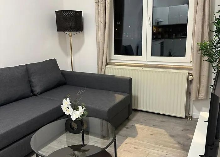 Apartmán 1 Et Sofa Bed En Plein Coeur De *